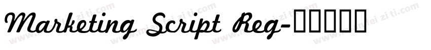 Marketing Script Reg字体转换
